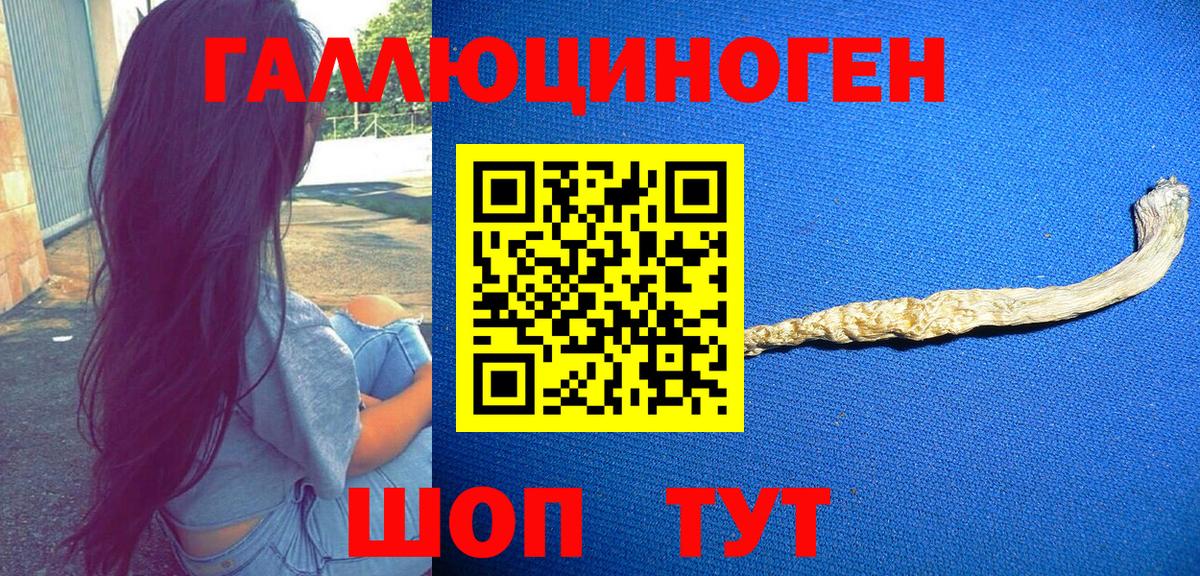 купить наркотики сайты  Псилоцибиновые грибы Magic Shrooms  Вход с VPN  Галлюциногенные грибы Psilocybine cubensis  Светлоград 